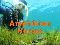Amphibian_Heroes